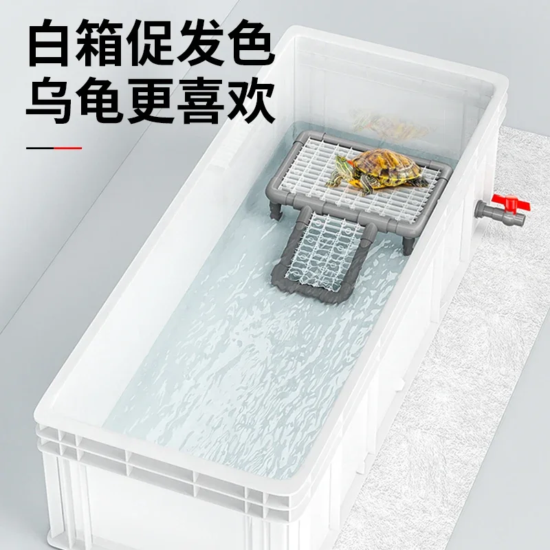 Fish Co Aquarium - Een schildpaddentank, grote professionele vijverbodemfilter, vis-