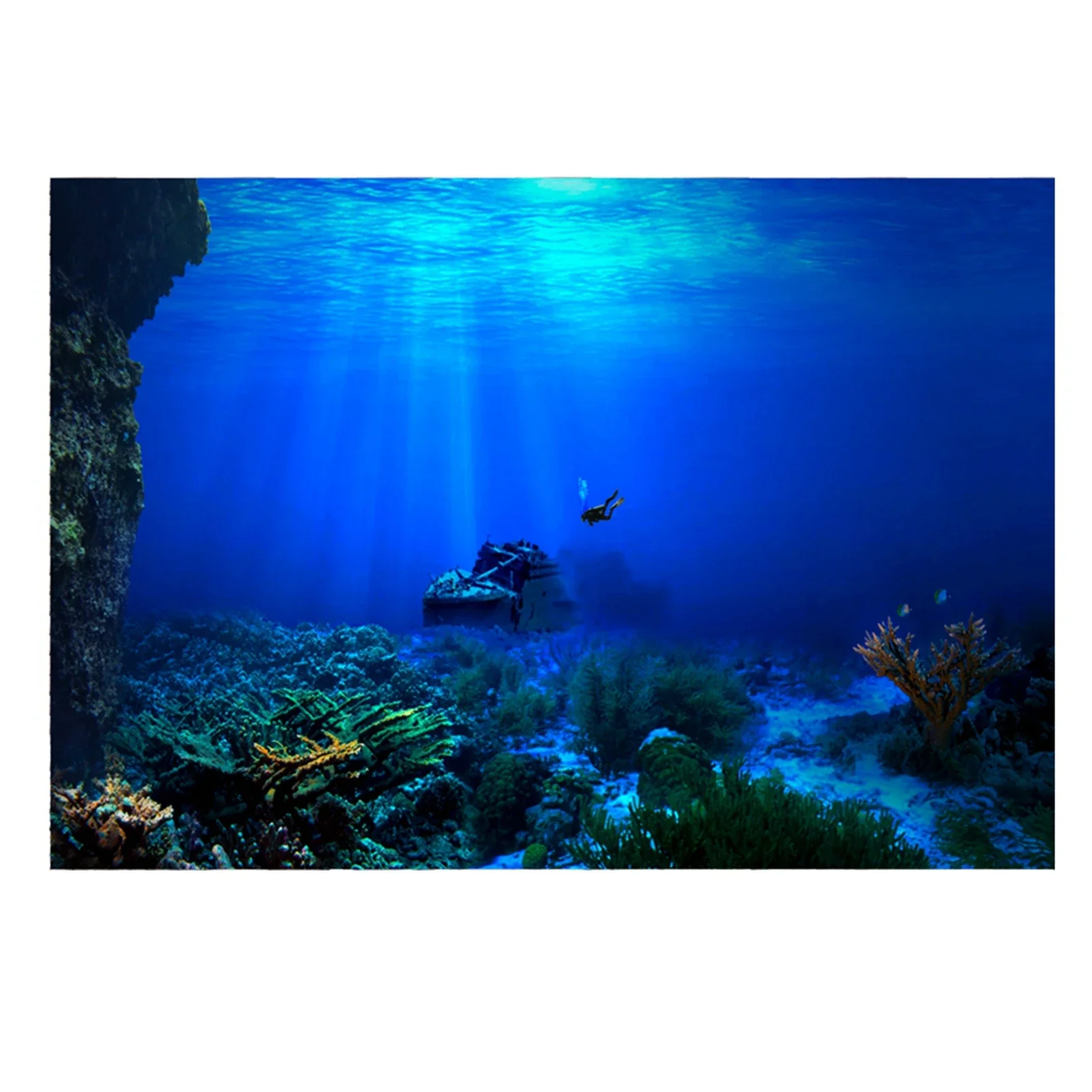 Aquarium Fish World - Regenwoud Aquarium Achtergrond Poster Fish Tank