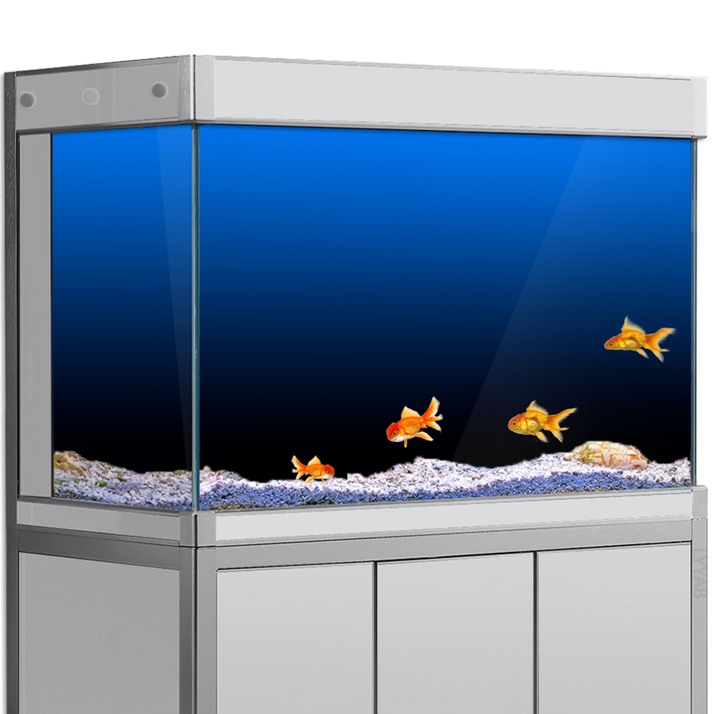 Aquarium Fish Green - Aquarium Achtergrond Sticker Zwart Groen Blauw