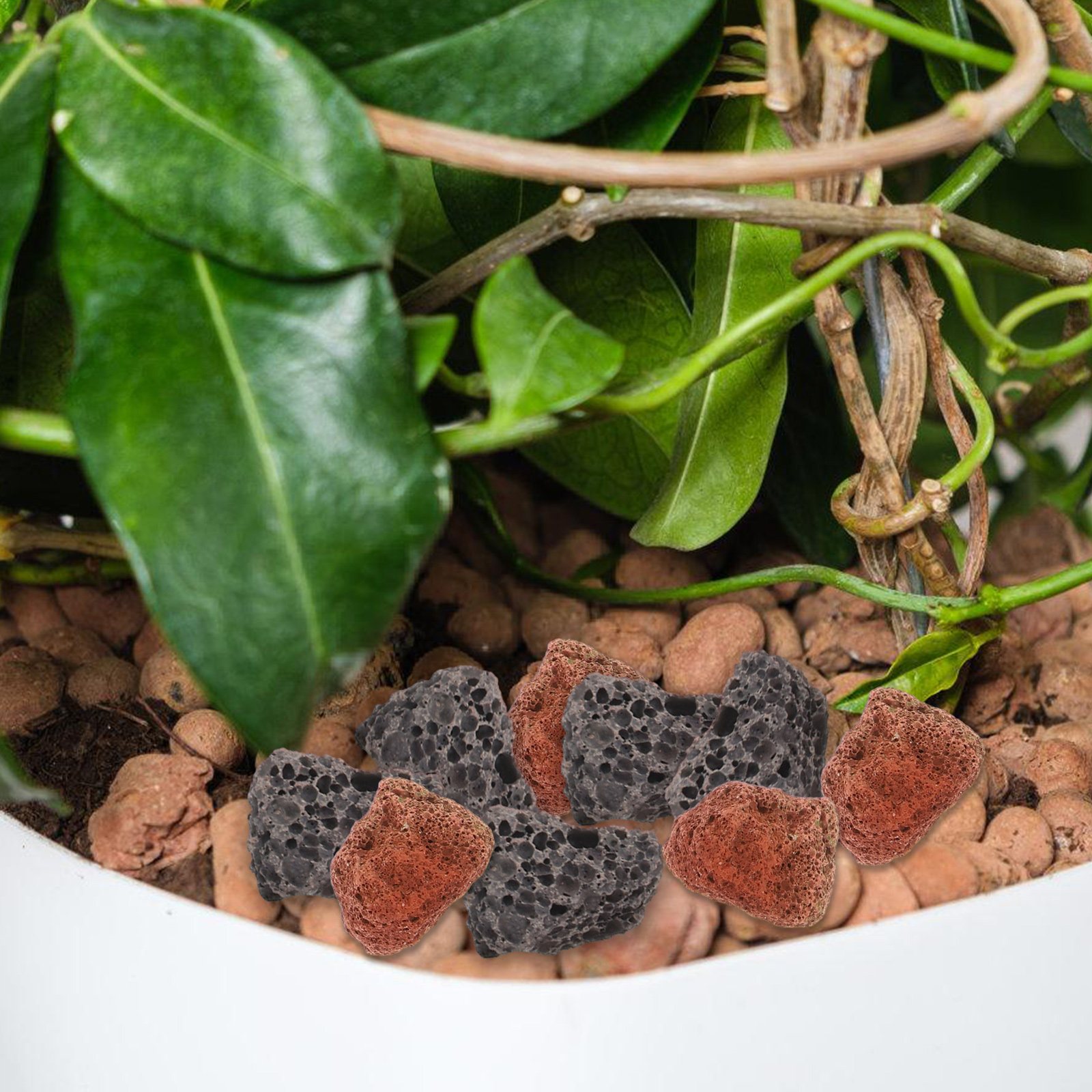 1Set Decoratieve Stenen Aquari - Aquarium Decoration Rock recensie en prijs