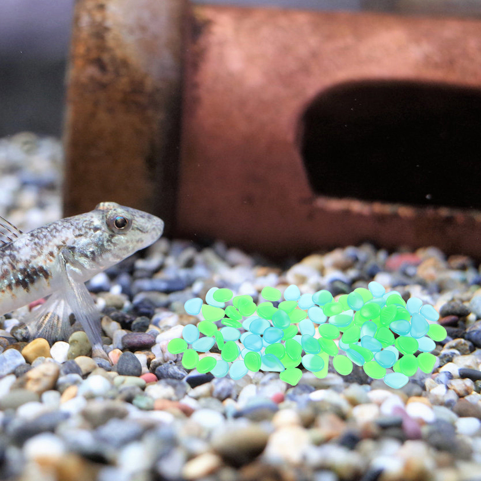 100 stuks Glow-in-the-dark kie - Aquarium Decoration Rock recensie en prijs