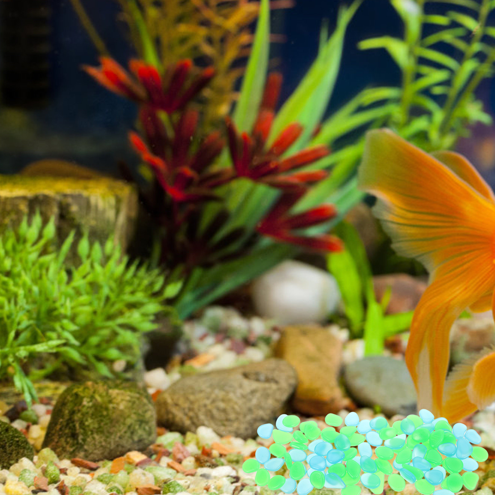 100 stuks Glow-in-the-dark kie - Aquarium Decoration Rock recensie en prijs