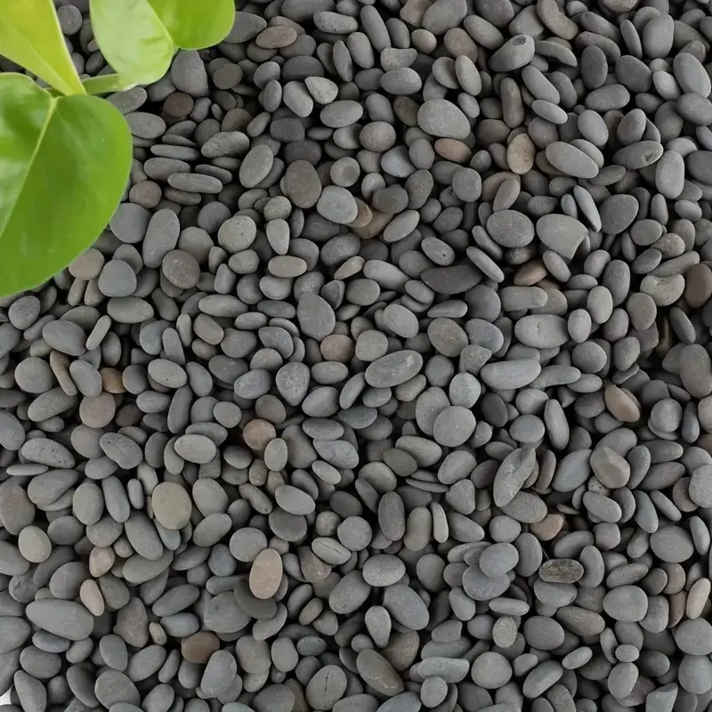 20 stuks natuurlijke rivier ro - Aquarium Decoration Rock recensie en prijs
