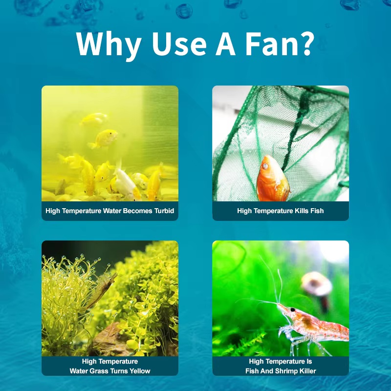 Jebao Jecod ACF-serie aquarium - Fish Co Aquarium recensie en prijs