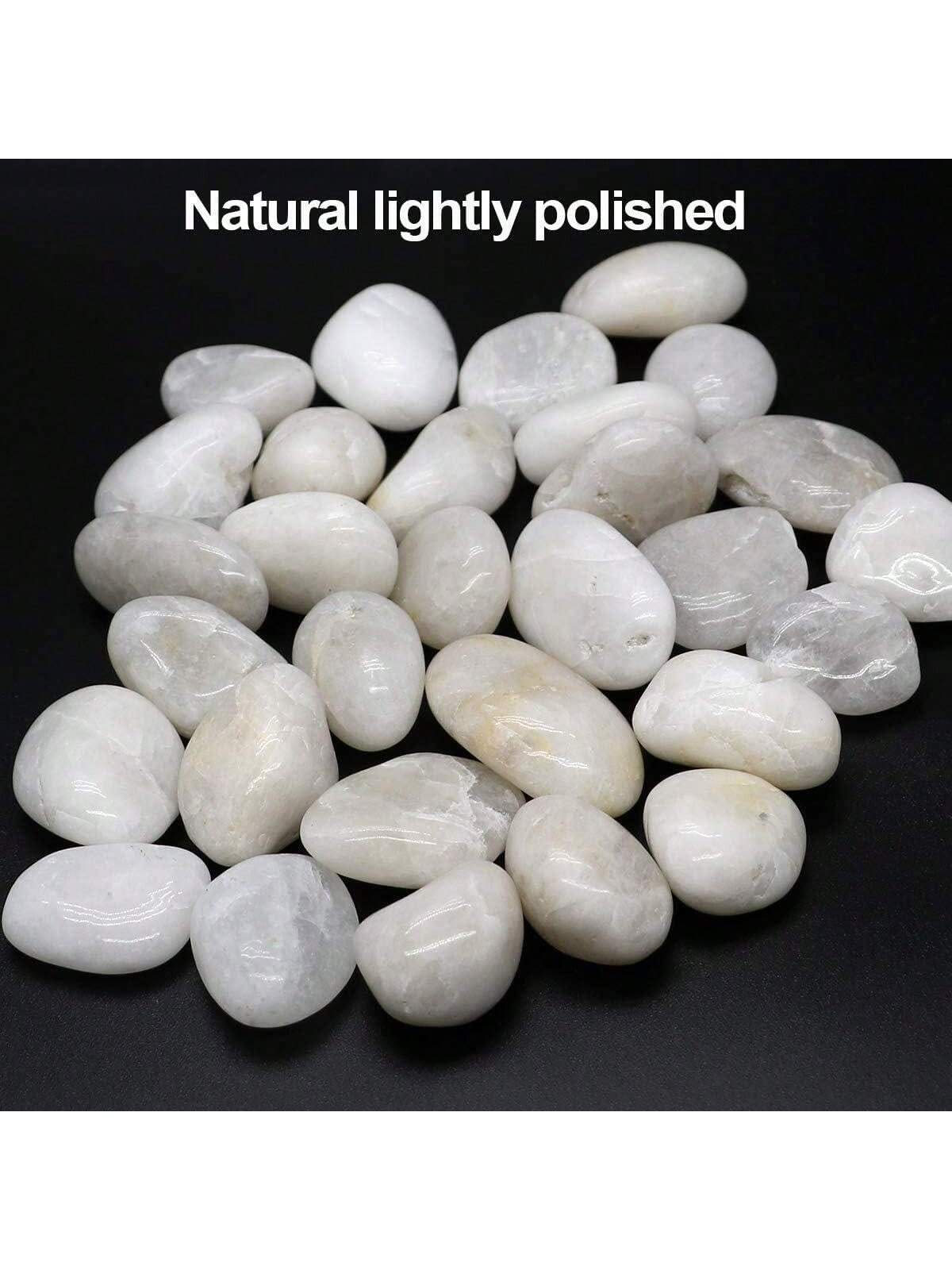 River Rocks Decoratieve Sier W - Aquarium Decoration Rock recensie en prijs