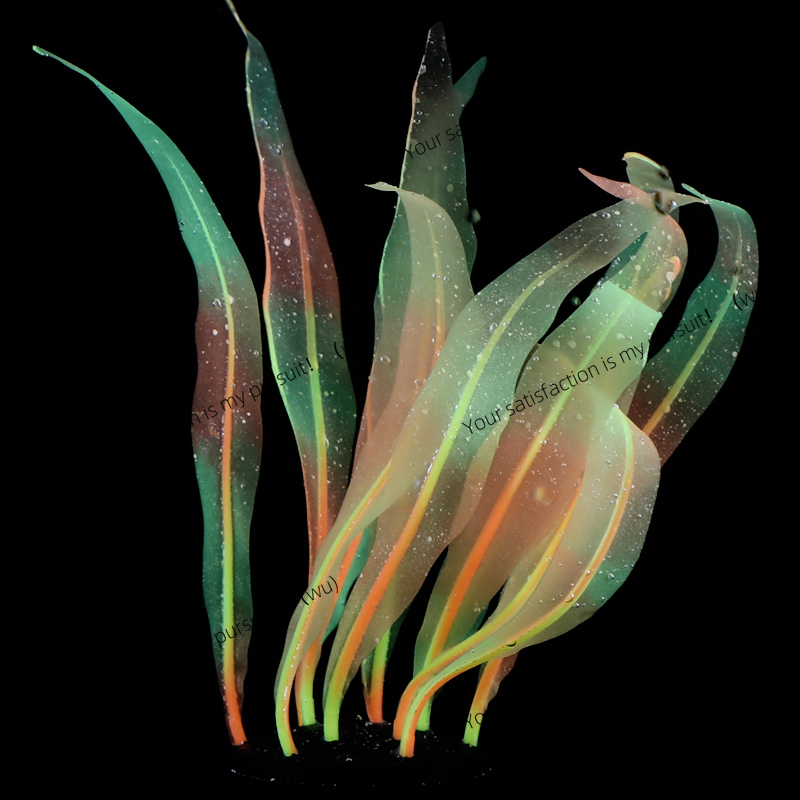 Gesimuleerde Kelp Plant Decora - Aquarium Fish World recensie en prijs