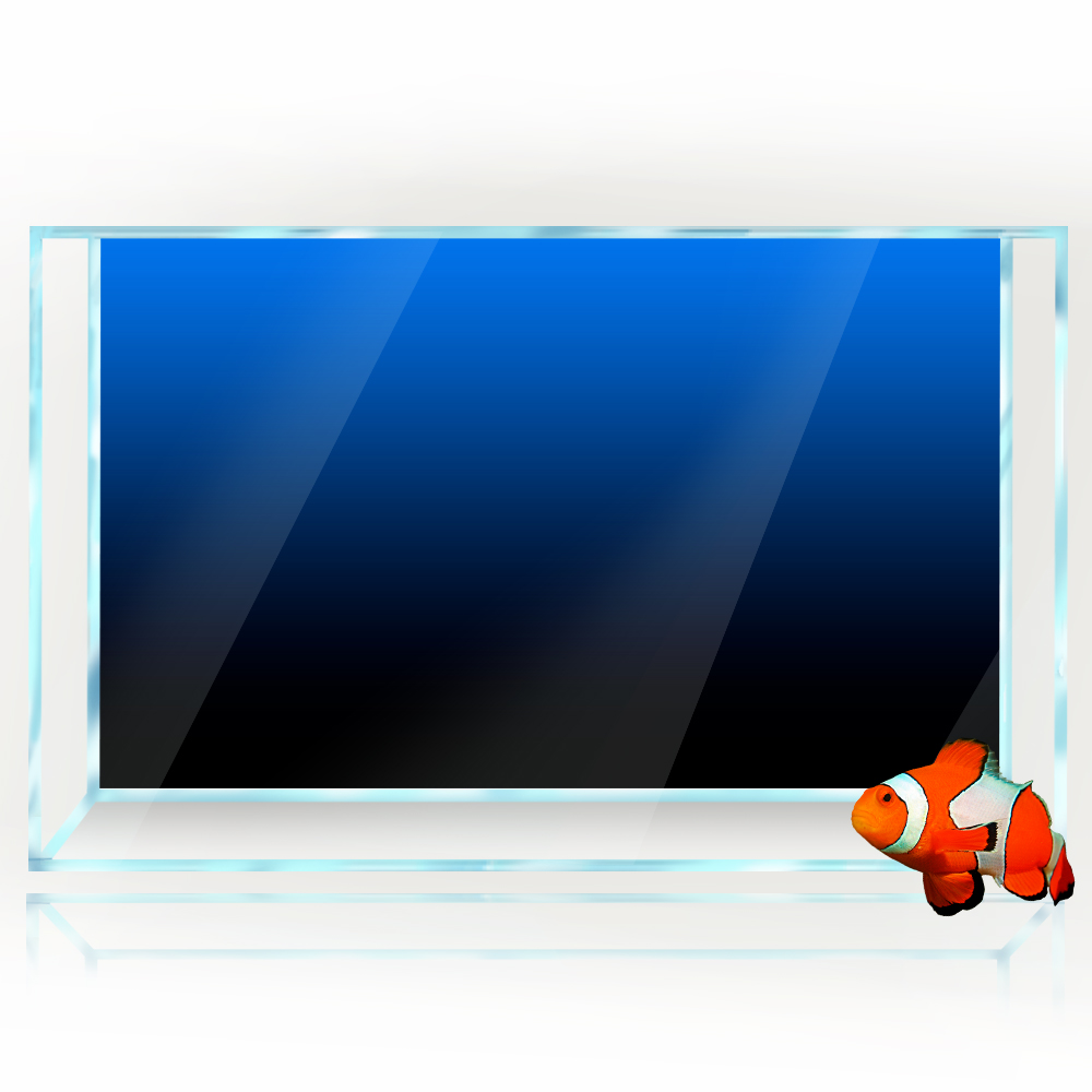 Aquarium Achtergrond Sticker Z - Aquarium Fish Green recensie en prijs