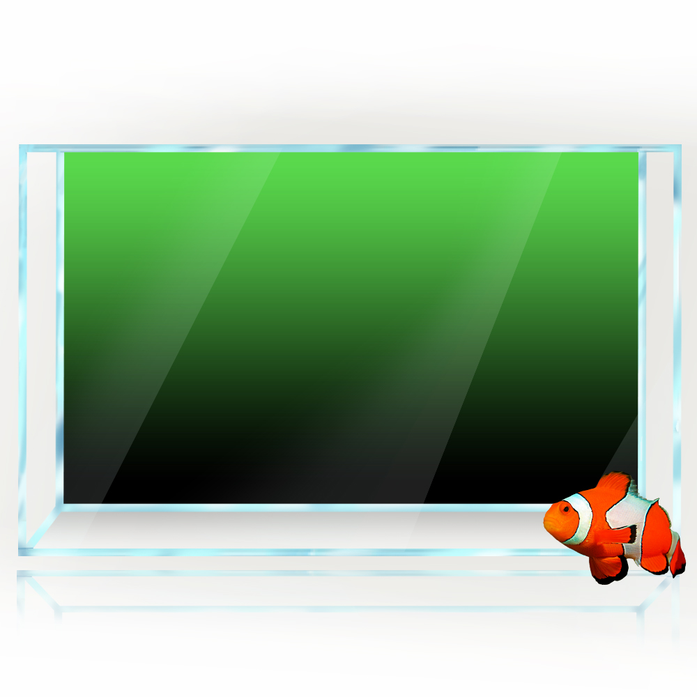 Aquarium Achtergrond Sticker Z - Aquarium Fish Green recensie en prijs