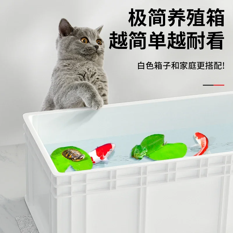 Een schildpaddentank, grote pr - Fish Co Aquarium recensie en prijs